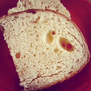 primo pane da pasta madre